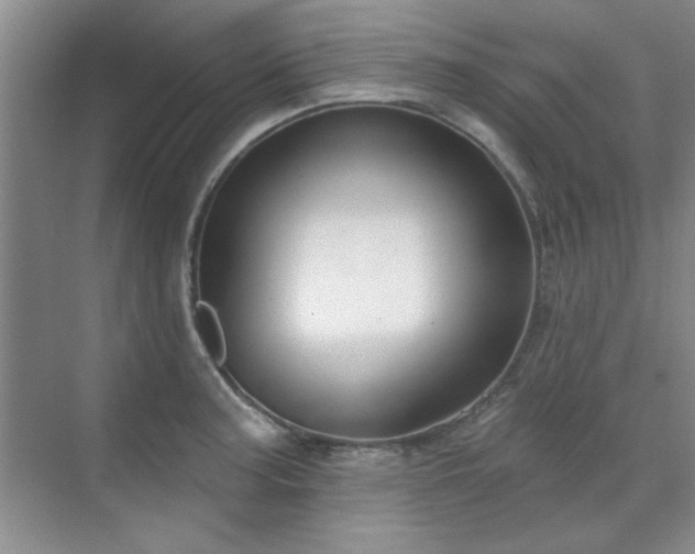 X0000071801187200606301153