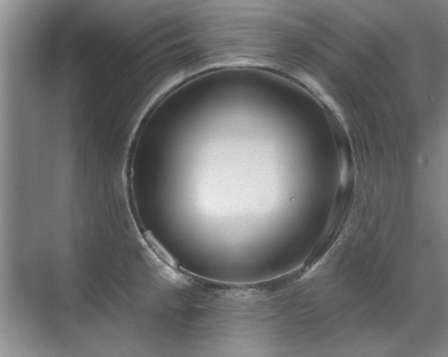 X0000071801189200606301153