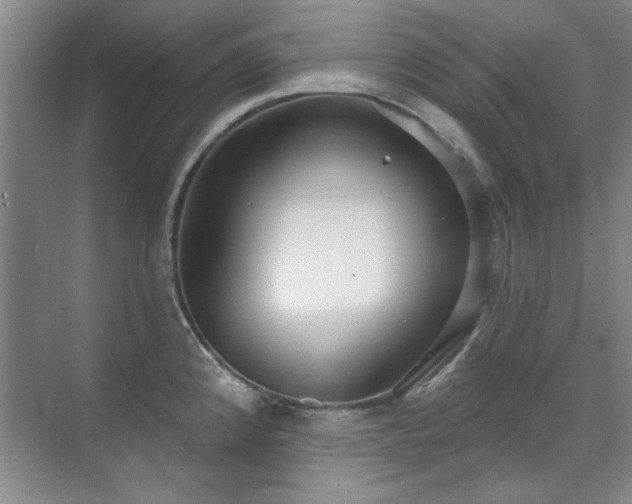 X0000071801192200606301153