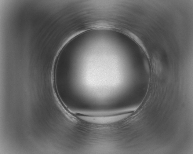X0000071801195200606301153