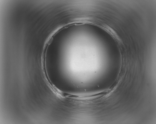 X0000071801196200606301153