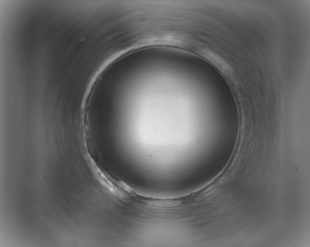 X0000071801200200606301153