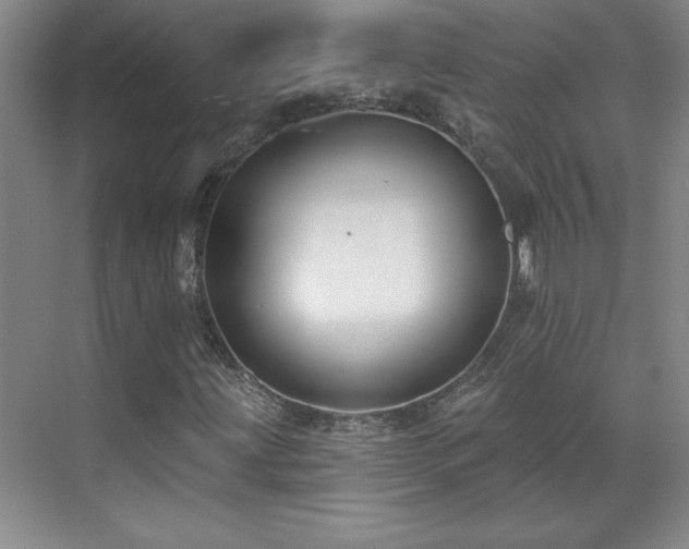X0000071801203200606301152