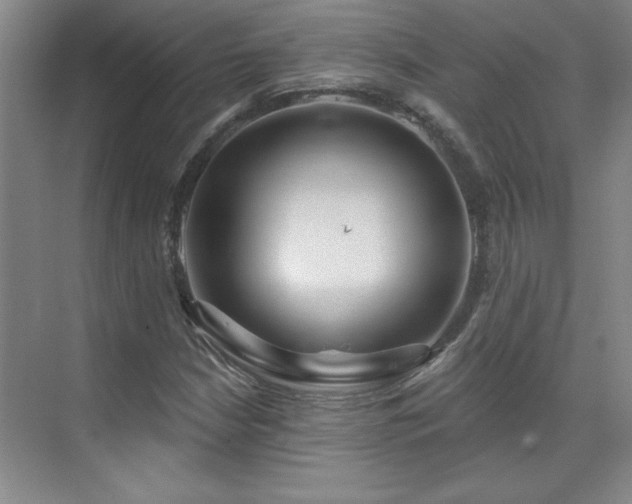 X0000071801210200606301152