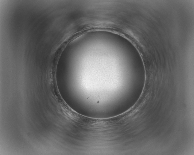 X0000071801211200606301152