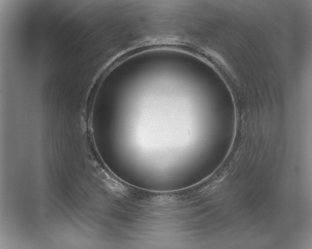 X0000071801212200606301152