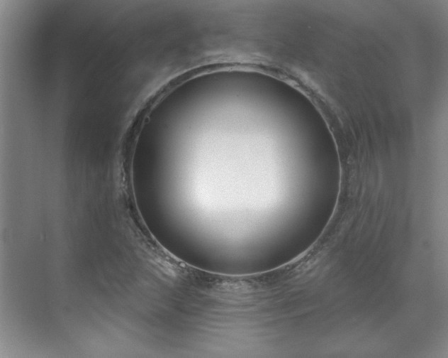 X0000071801215200606301152