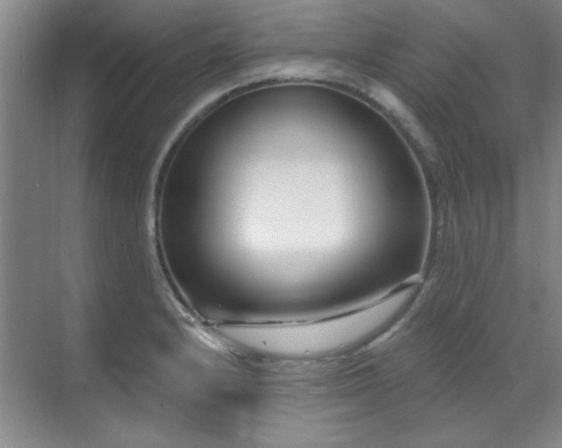 X0000071801232200606301152