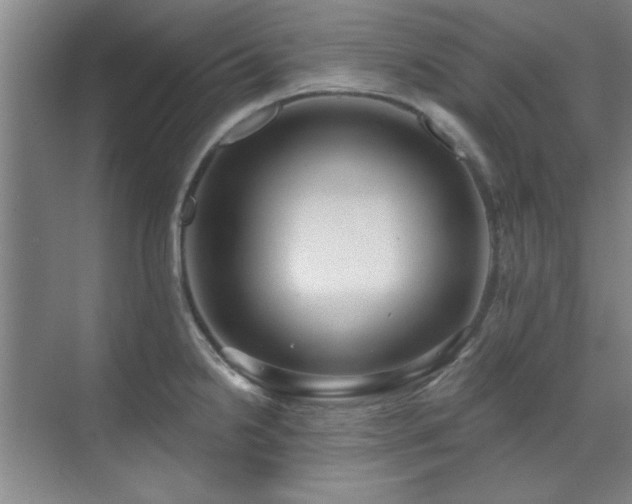 X0000071801238200606301153