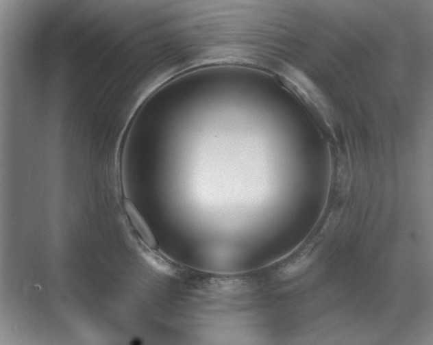 X0000071801242200606301153