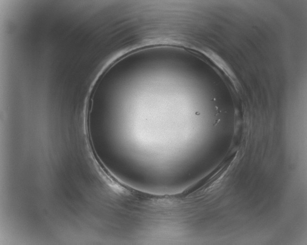 X0000071801246200606301153