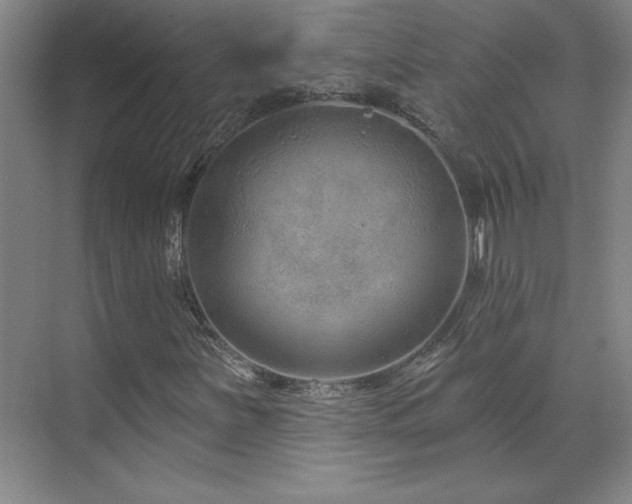 X0000071801251200606301152