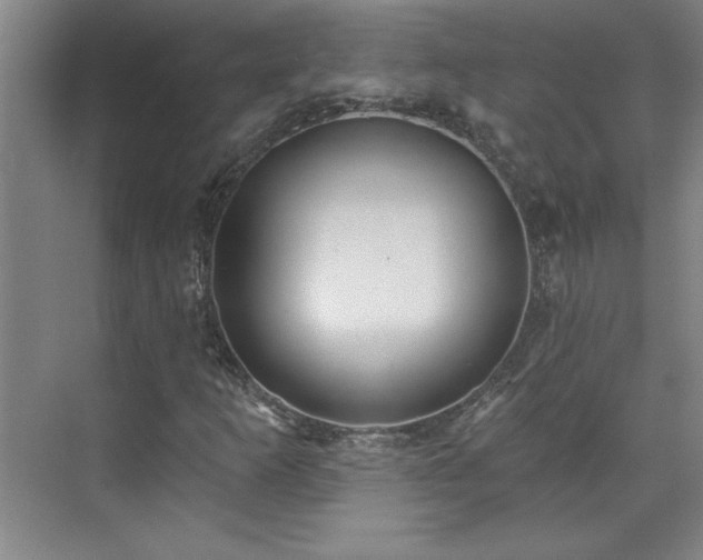 X0000071801253200606301152