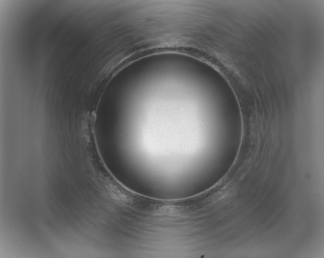 X0000071801265200606301152