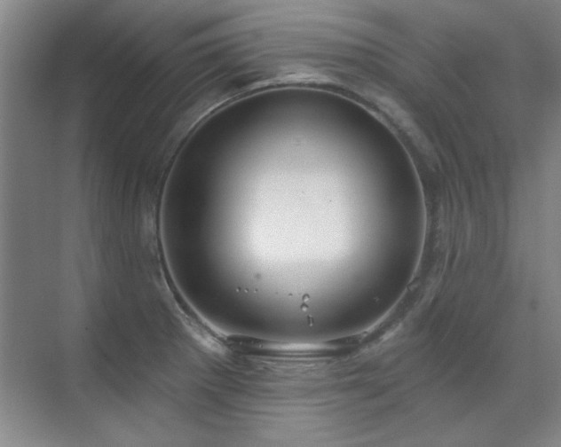 X0000071801281200606301151