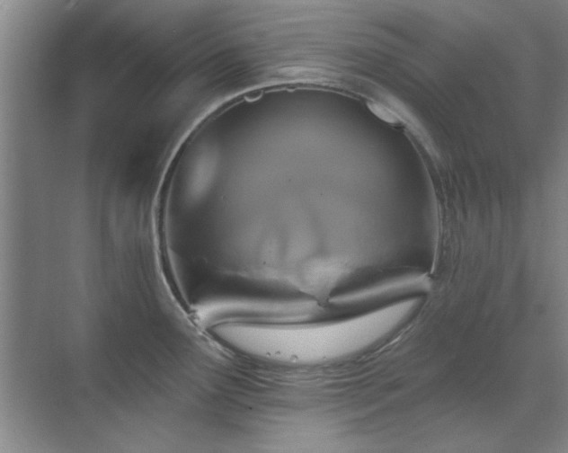 X0000071801291200606301151