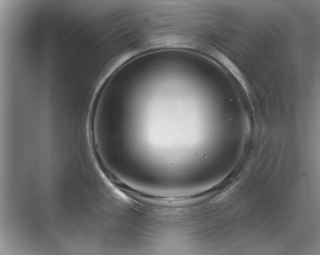 X0000071801293200606301151