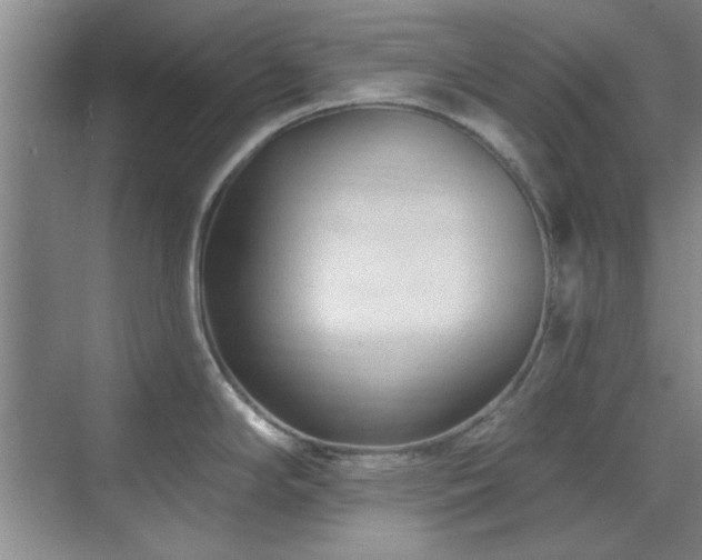 X0000071801294200606301151