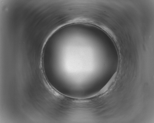 X0000071801296200606301151