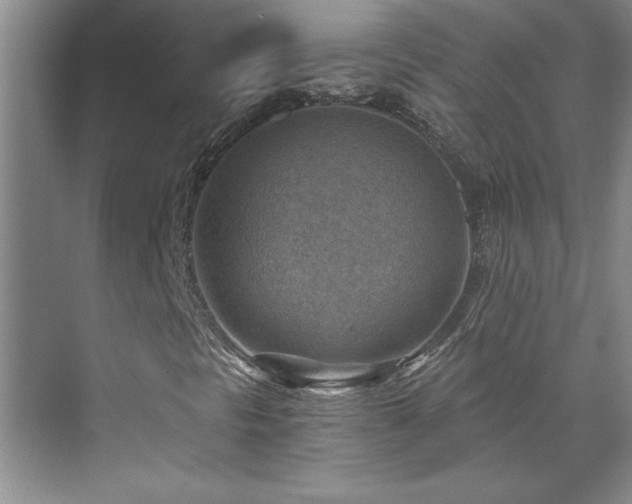 X0000071801297200606301150