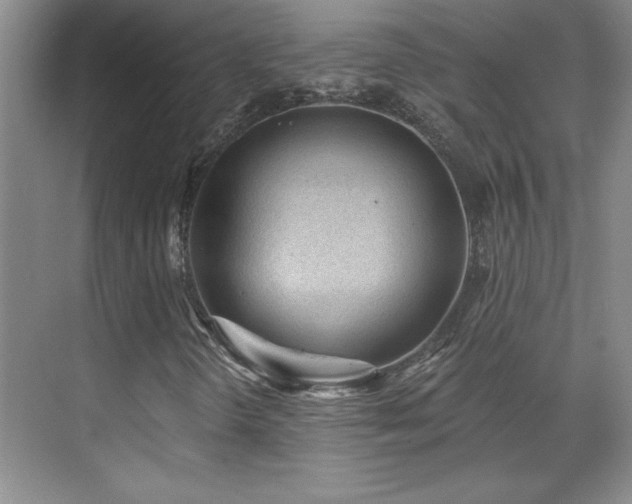 X0000071801298200606301150