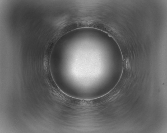 X0000071801299200606301150