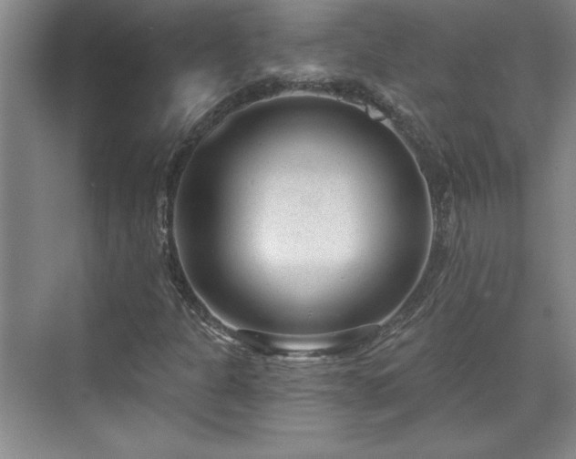 X0000071801301200606301150
