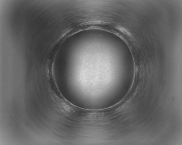 X0000071801305200606301150