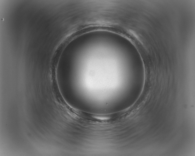 X0000071801307200606301150