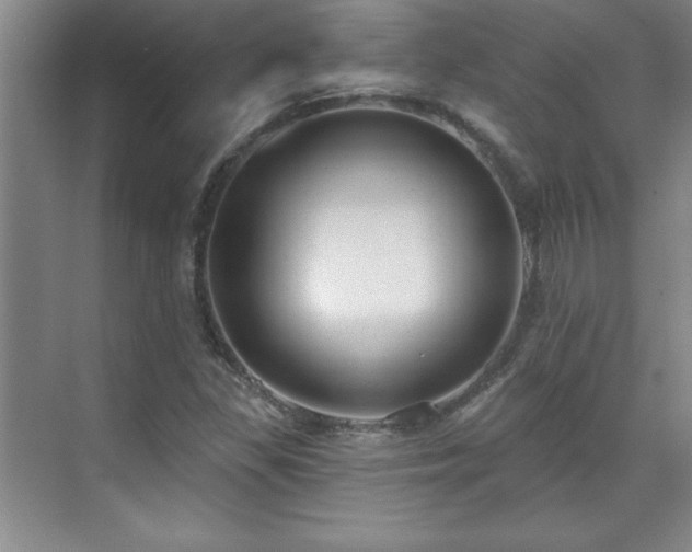 X0000071801309200606301151