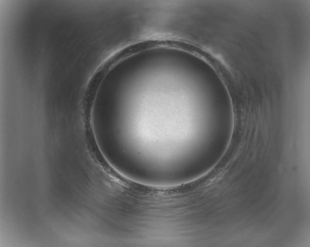 X0000071801311200606301151
