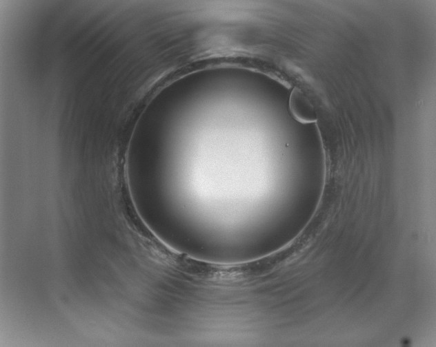 X0000071801313200606301151