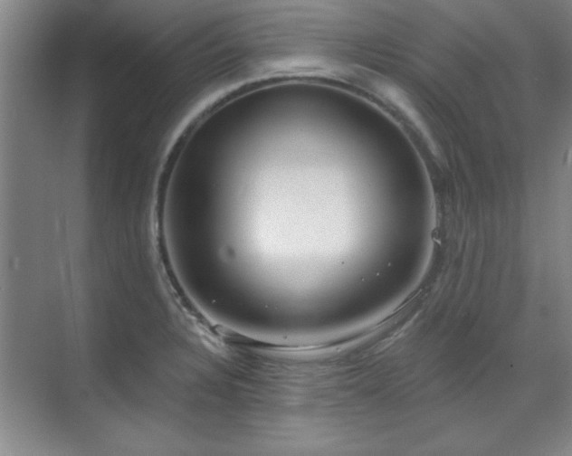 X0000071801328200606301151