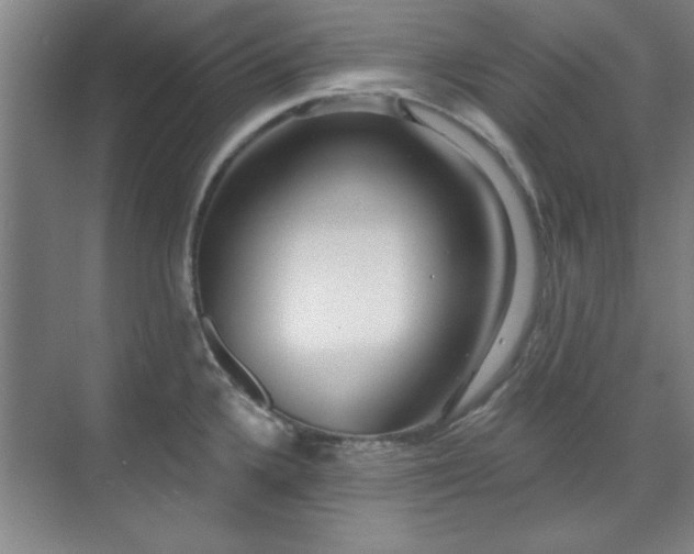 X0000071801336200606301151
