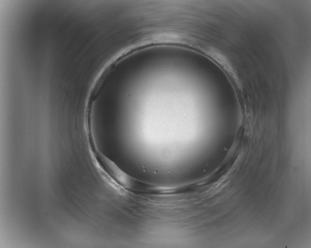 X0000071801342200606301151