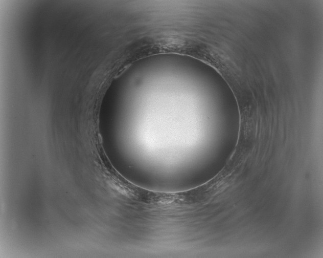 X0000071801345200606301150