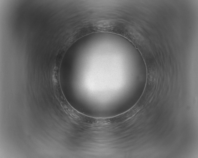 X0000071801346200606301150