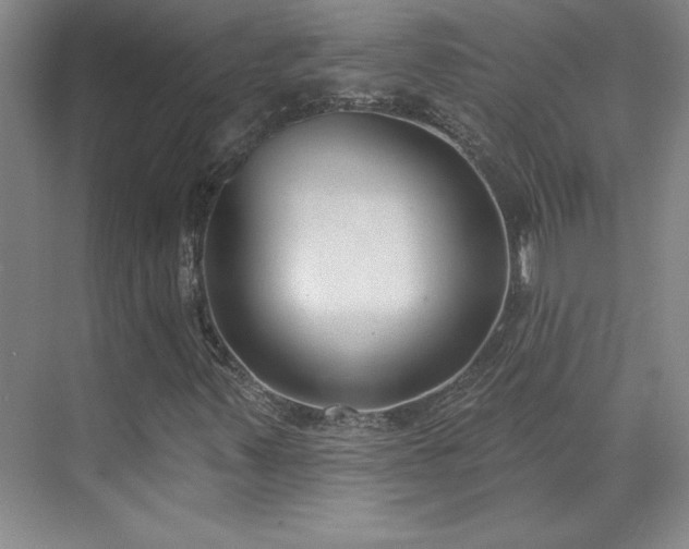 X0000071801347200606301150