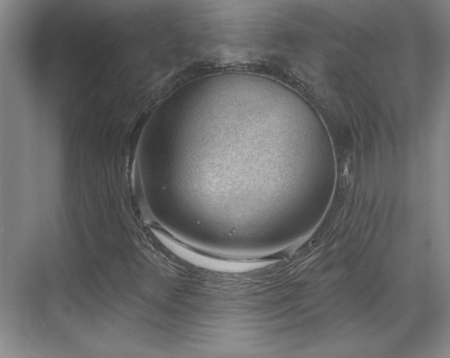 X0000071801348200606301150
