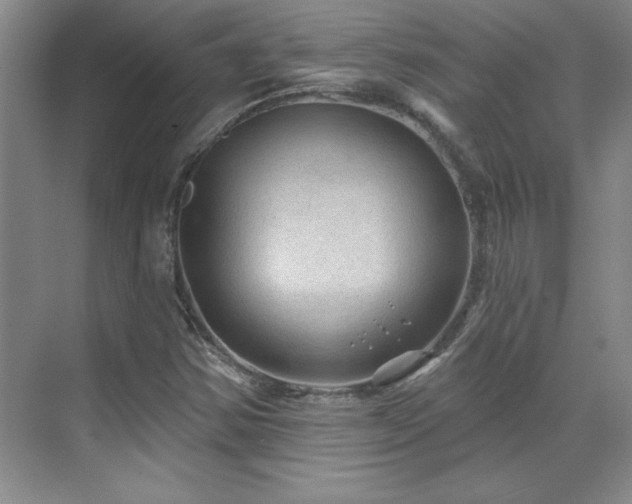 X0000071801354200606301150