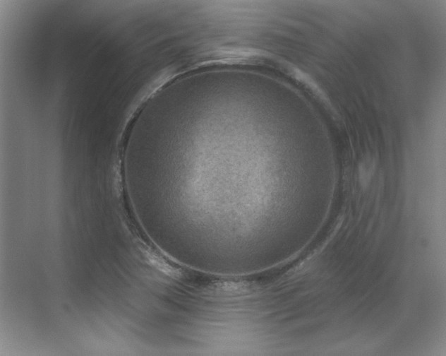 X0000071801362200606301150