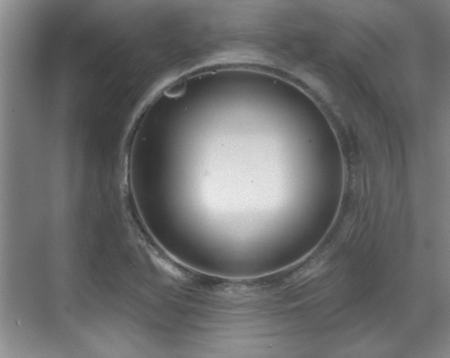 X0000071801366200606301150