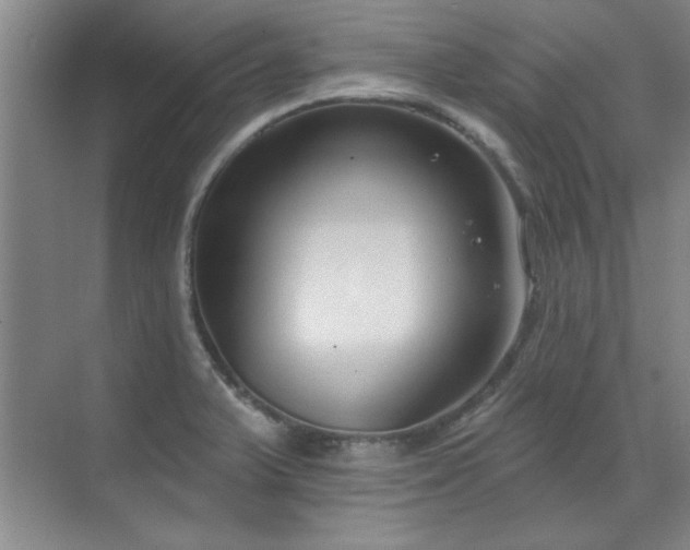 X0000071801375200606301150