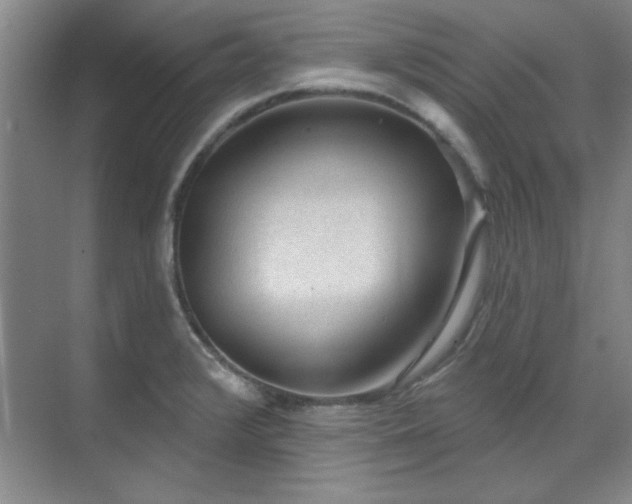 X0000071801376200606301150