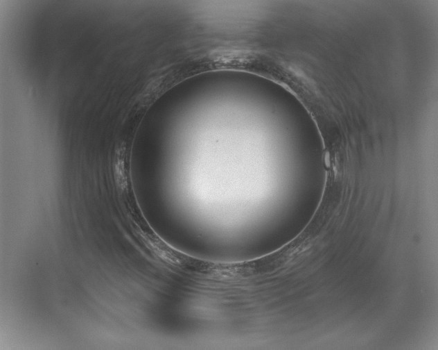 X0000071801396200606301149