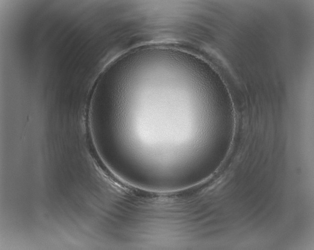 X0000071801409200606301149