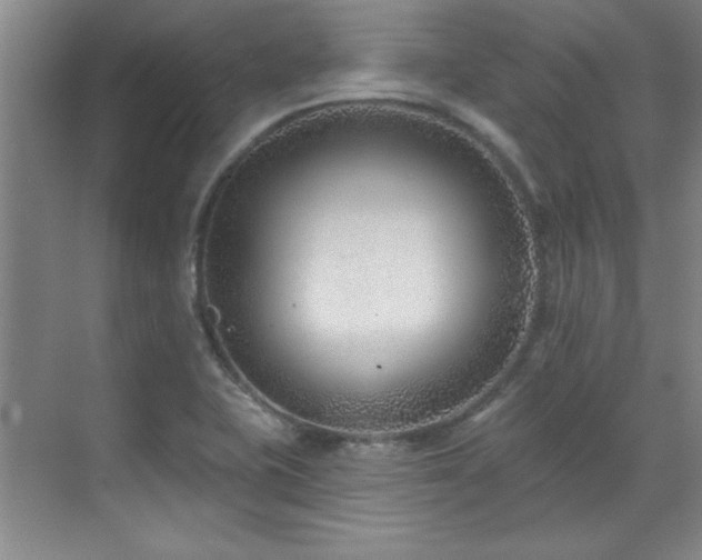 X0000071801415200606301149