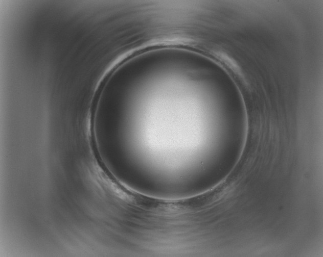 X0000071801420200606301149