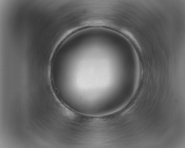 X0000071801424200606301149