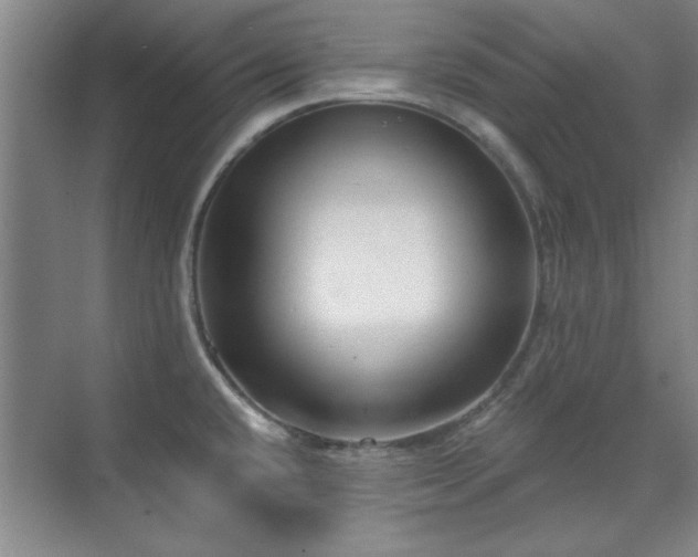 X0000071801432200606301149